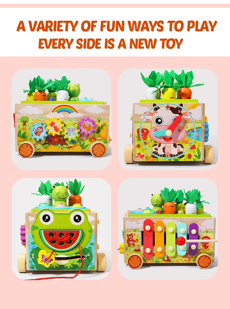 Wooden Educational Toys for Children Montessori Toys Carrot Shape Assortment Matching Games Intellectual Puzzles Baby Gifts