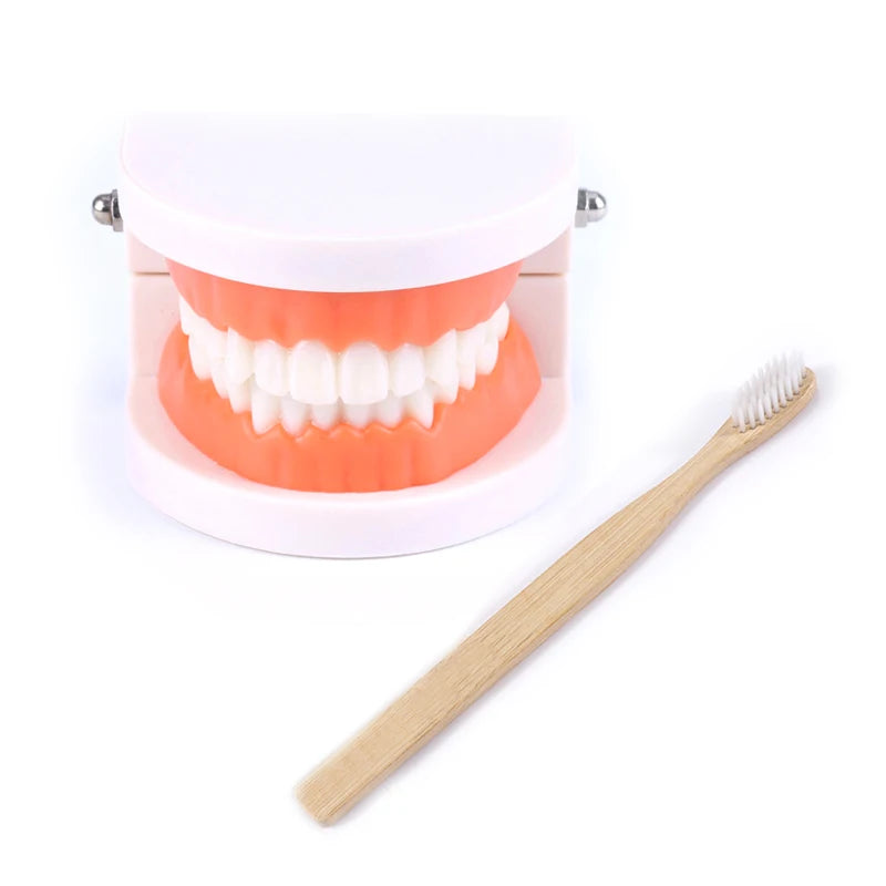 Montessori Educational Toys for Children Early Learning Kids Intelligence Brushing Tooth Teaching Aids Simulated Practical Life